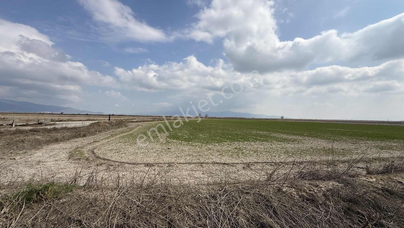 Çift Yol Cepheli 8183 M2 Yatırımlık Arazi