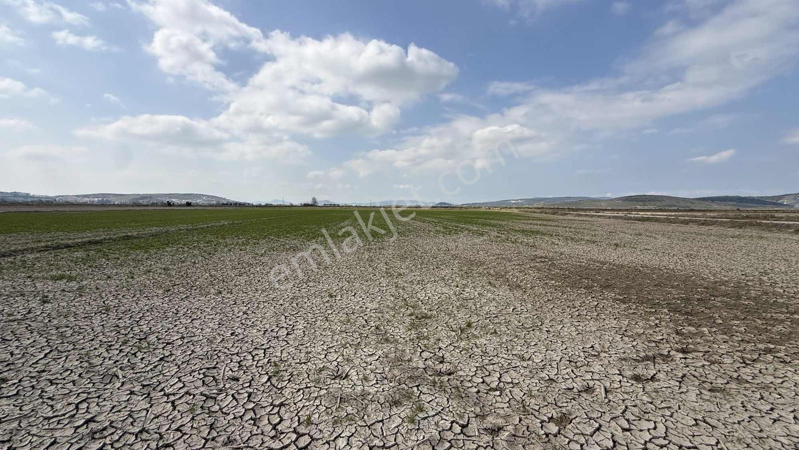 Çift Yol Cepheli 8183 M2 Yatırımlık Arazi - Görsel 5