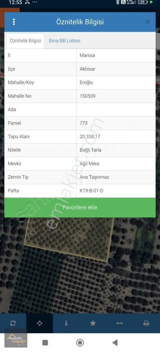Mustafa Başyiğit Emlak'tan Eroğlu Köyünde 15 Dönüm Zeytinlik - Görsel 6