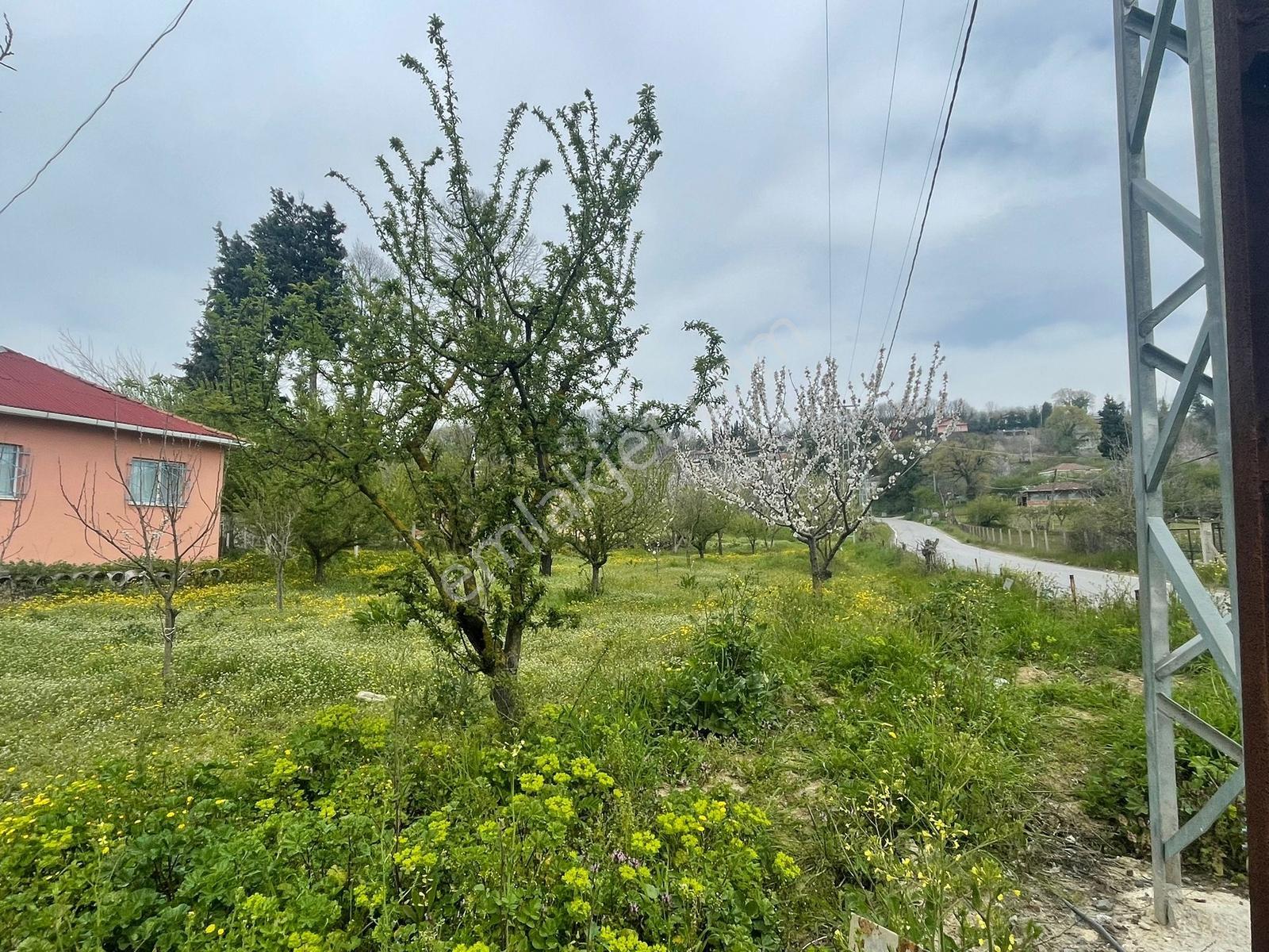 Karaahmetli'de Bu Fırsat Kaçmaz 793m2 Asfalta Cephe İmarlı Arsa! - Görsel 16
