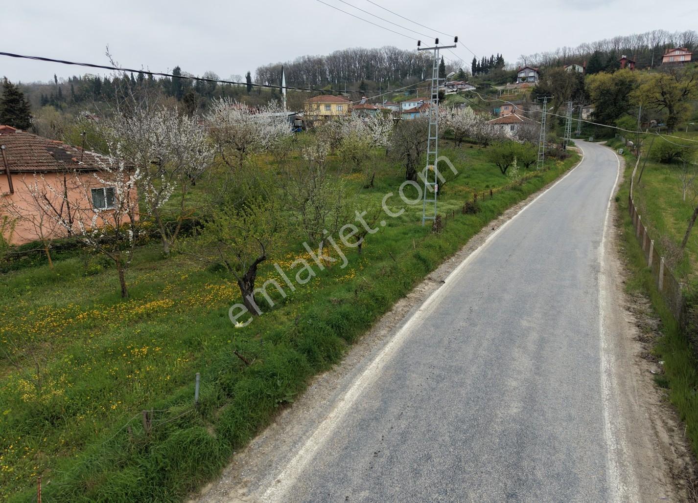 Karaahmetli'de Bu Fırsat Kaçmaz 793m2 Asfalta Cephe İmarlı Arsa! - Görsel 7