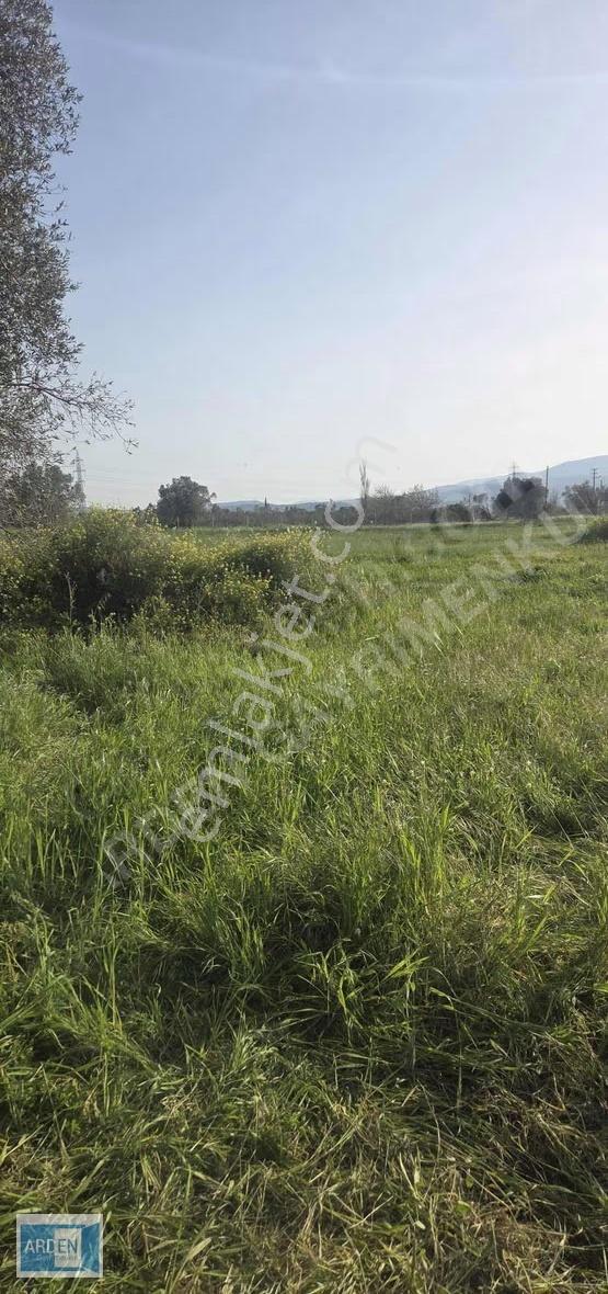 Urla Sıra Mah.'de Satılık 303m² İmarlı Kooperatif Hissesi - Görsel 11