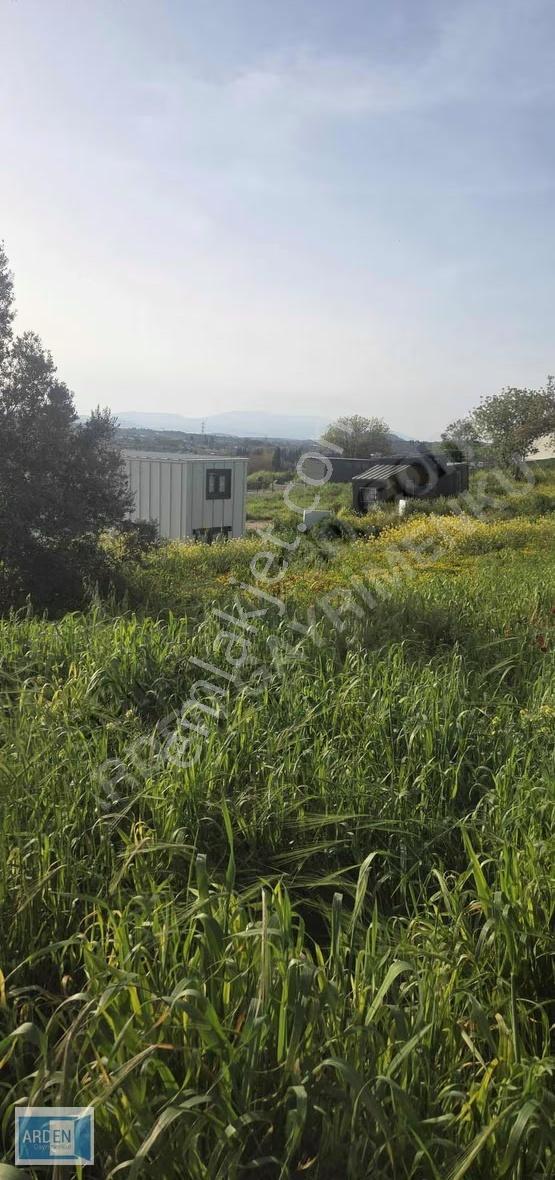 Urla Camiatik'te Satılık Tiny House Arsası (298m²) - Görsel 3