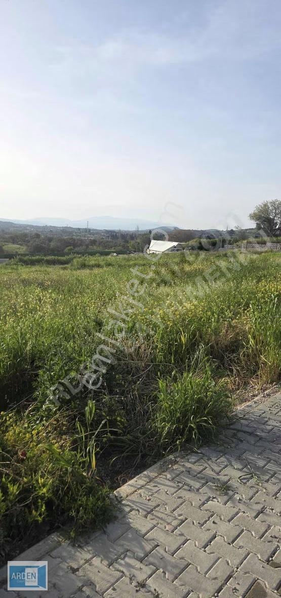 Urla Camiatik'te Satılık Tiny House Arsası (298m²) - Görsel 7