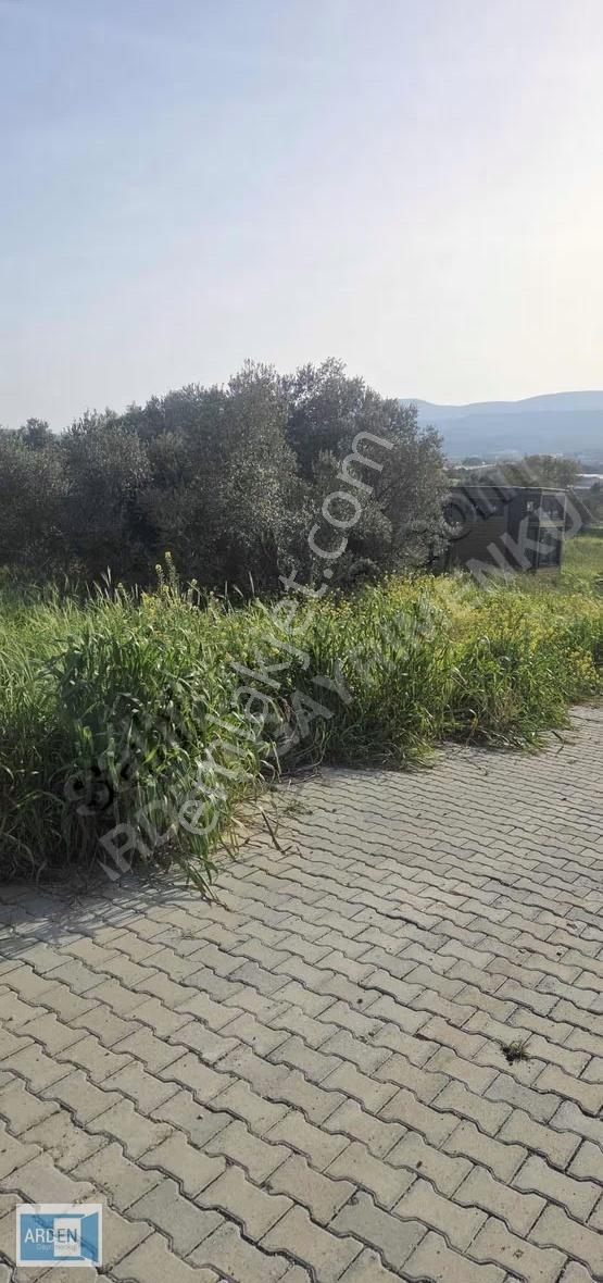 Urla Camiatik'te Satılık Tiny House Arsası (298m²) - Görsel 5