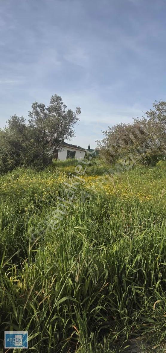Urla Camiatik'te Satılık Tiny House Arsası (298m²) - Görsel 4