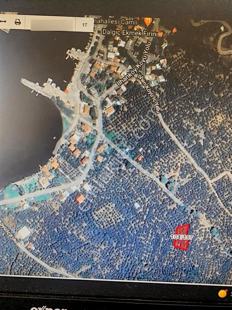 Erdek İlhanlar Da Satılık Zeytinlik - Görsel 6