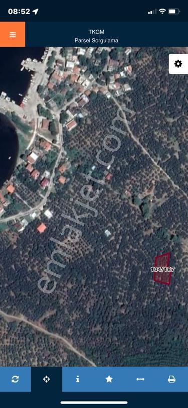 Erdek İlhanlar Da Satılık Zeytinlik - Görsel 4