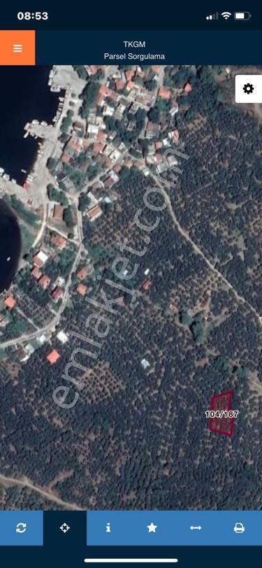 Erdek İlhanlar Da Satılık Zeytinlik - Görsel 3