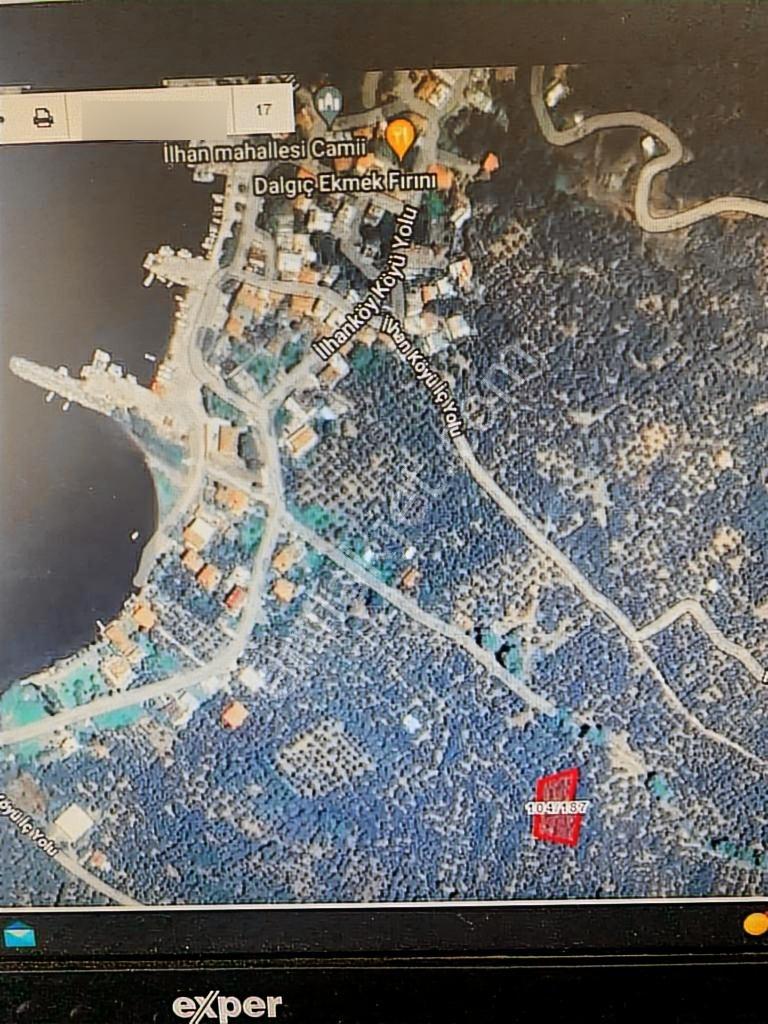 Erdek İlhanlar Da Satılık Zeytinlik - Görsel 2