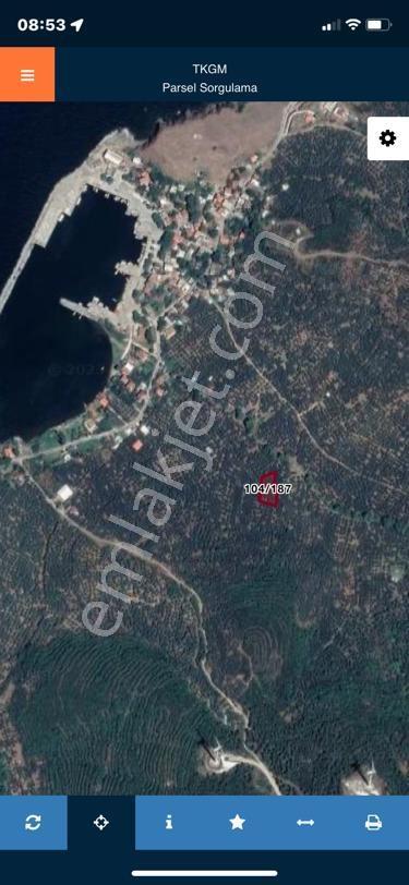 Erdek İlhanlar Da Satılık Zeytinlik - Görsel 7