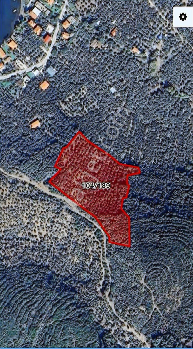 Erdek İlhanlar Da Deniz Manzaralı Satılık Zeytinlik