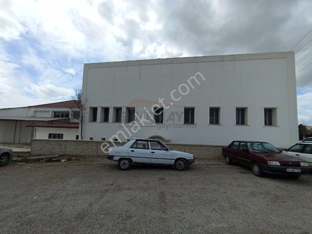Güvenay - Çorum Ankara Yolu Üzeri Kiralık Dükkan Mağaza Depo - Görsel 34