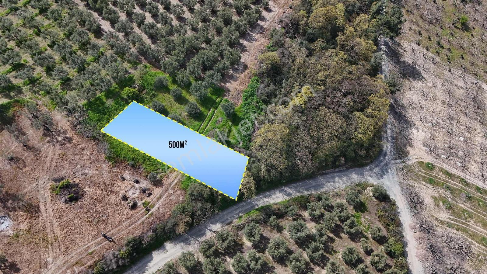 Expert'ten Mudanya Yaylacıkta Köye Komşu 500 M² Satılık Tarla - Görsel 4