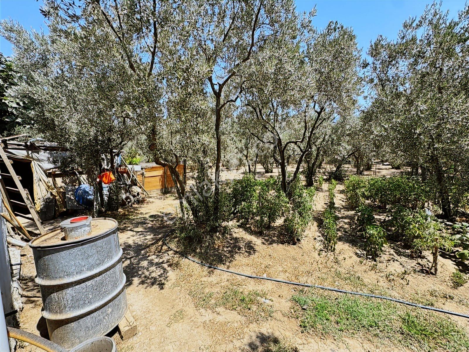Erdek Ocaklar Da Zeytinlik İçin De Satılık Müstakil Ev - Görsel 29