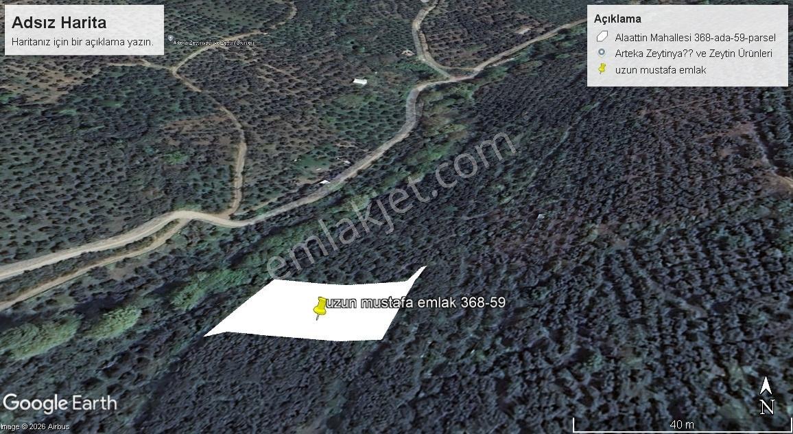 Erdek Alaattin Mahallesin De Satılık Zeytinlik