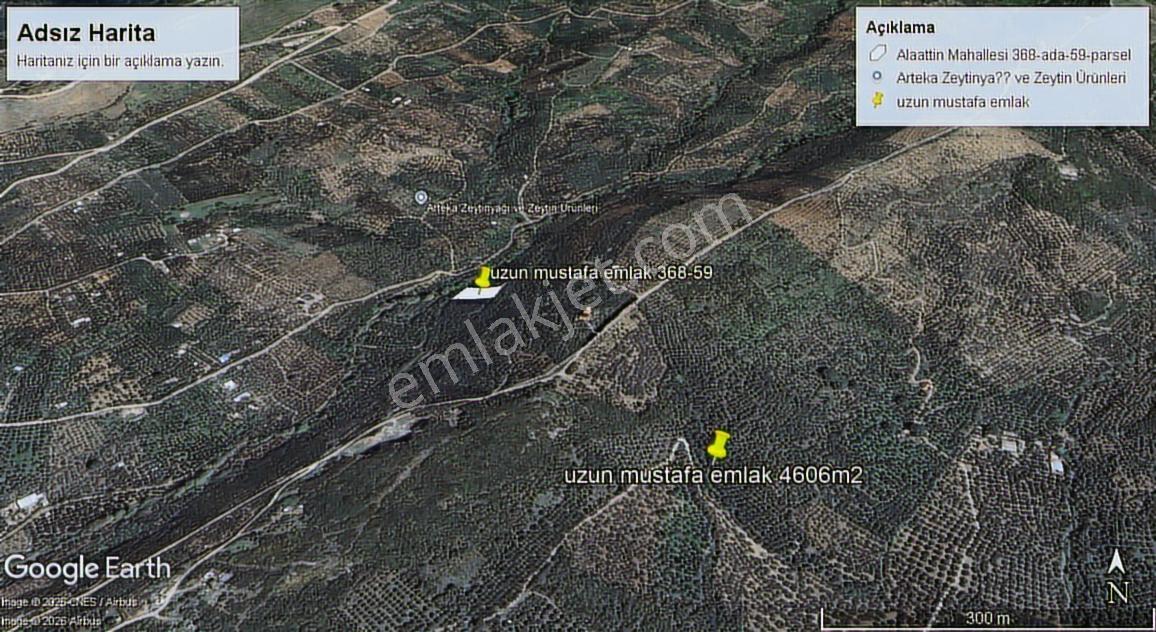 Erdek Alaattin Mahallesin De Satılık Zeytinlik - Görsel 3