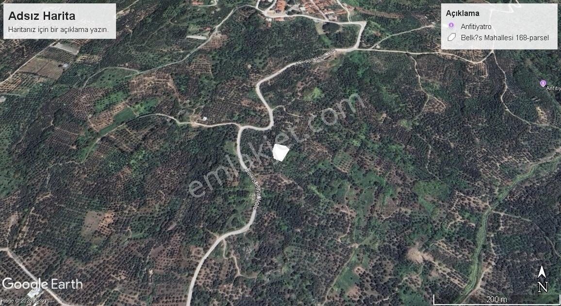 Erdek Belkıs Ta Satılık Zeytinlik - Görsel 2