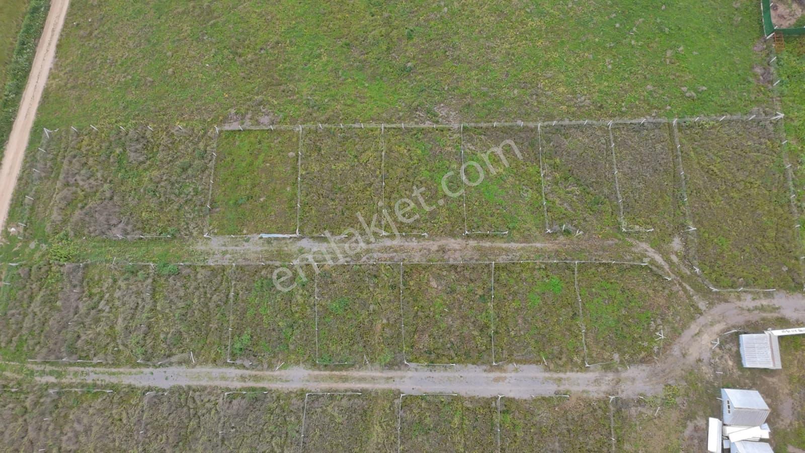 İzmir Menderes Şaşal Keler Mevkii’nde Tapudan Satış | 175 M² – 201 M² | Yatırımlık Parseller - Görsel 13