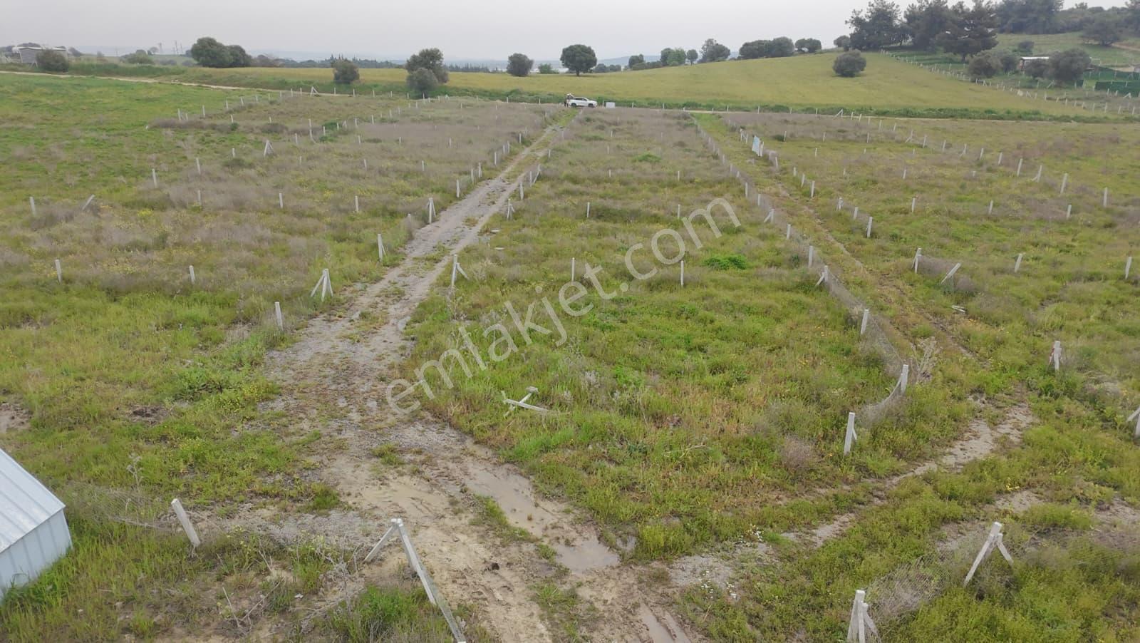 İzmir Menderes Şaşal Keler Mevkii’nde Tapudan Satış | 175 M² – 201 M² | Yatırımlık Parseller - Görsel 21