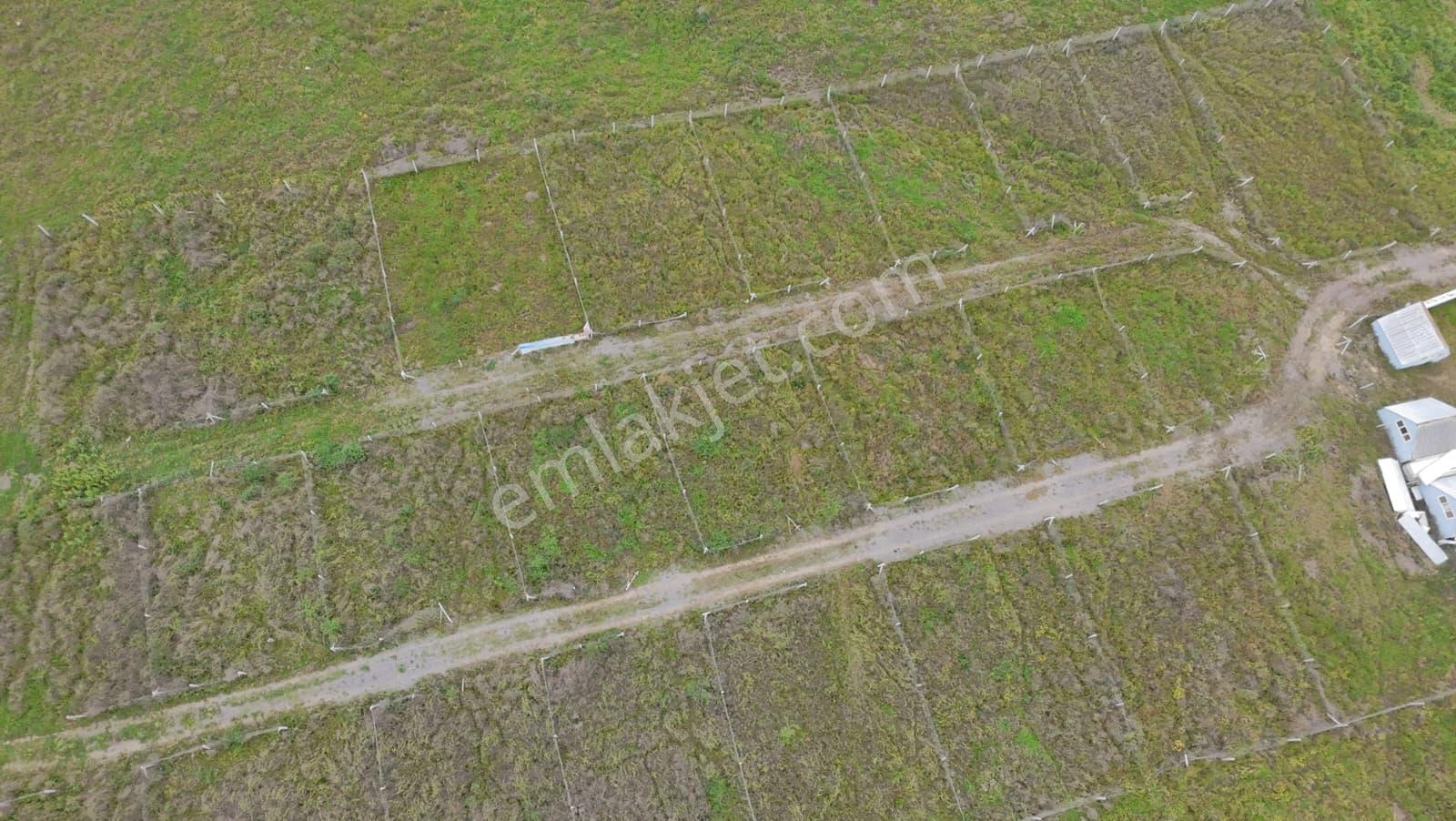 İzmir Menderes Şaşal Keler Mevkii’nde Tapudan Satış | 175 M² – 201 M² | Yatırımlık Parseller - Görsel 5