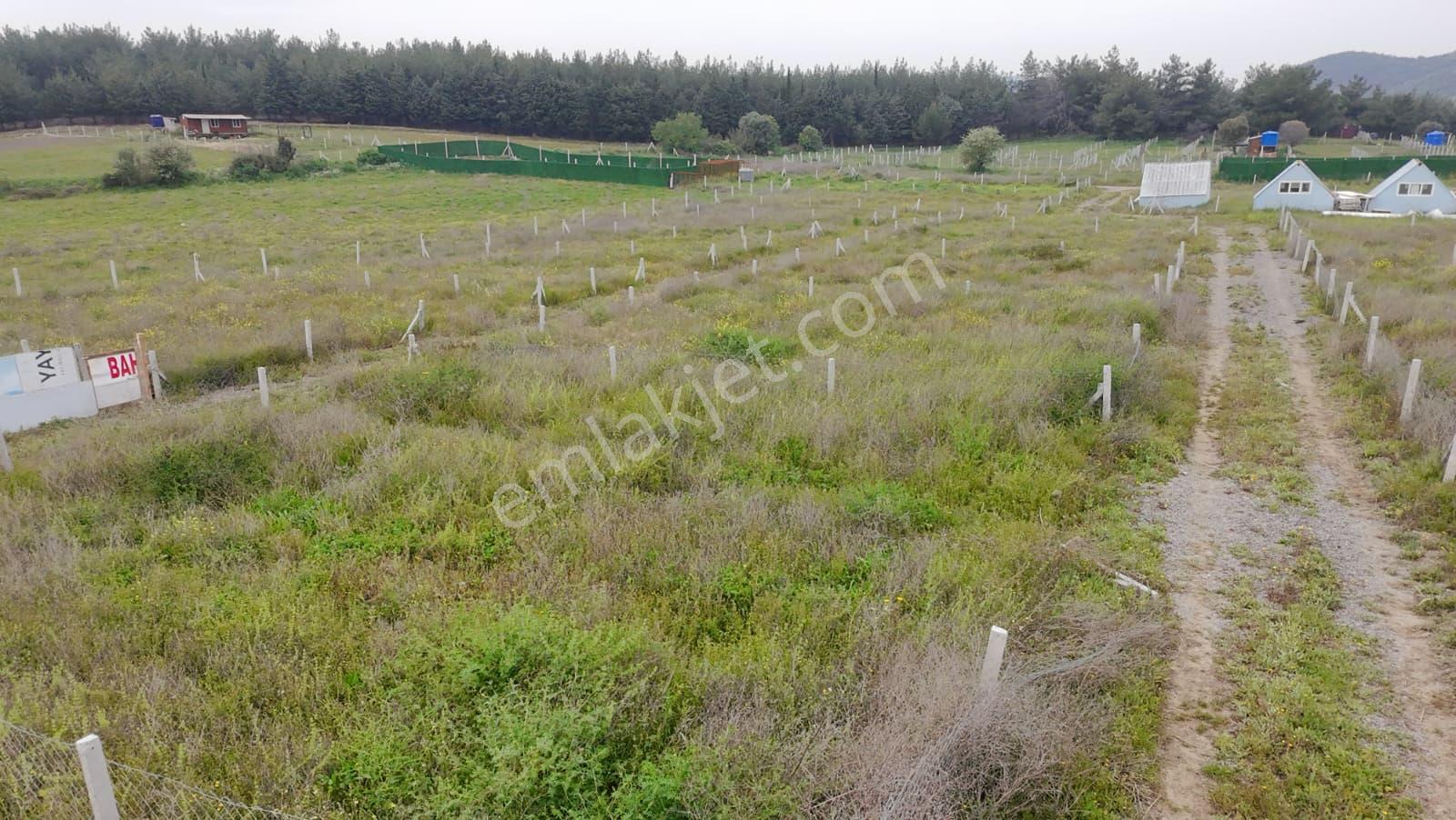 İzmir Menderes Şaşal Keler Mevkii’nde Tapudan Satış | 175 M² – 201 M² | Yatırımlık Parseller - Görsel 22
