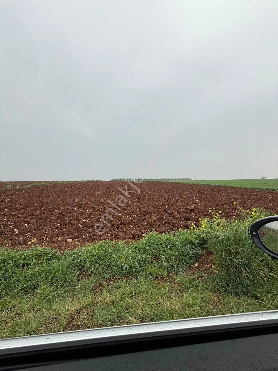 Hakevden Bozhüyük Köyünde Satılık 7.729 M2 Tarla - Görsel 5