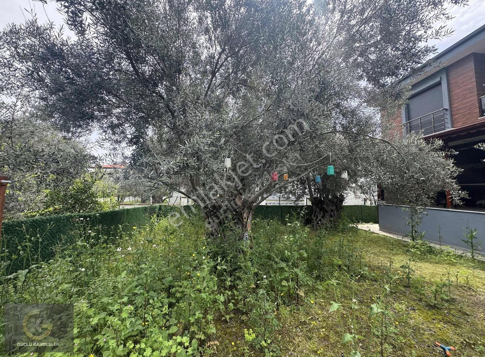 Güçlü Kardeşler Geniş Bahçe Kullanımlı 3+1 Lüks Fırsat Villa - Görsel 18