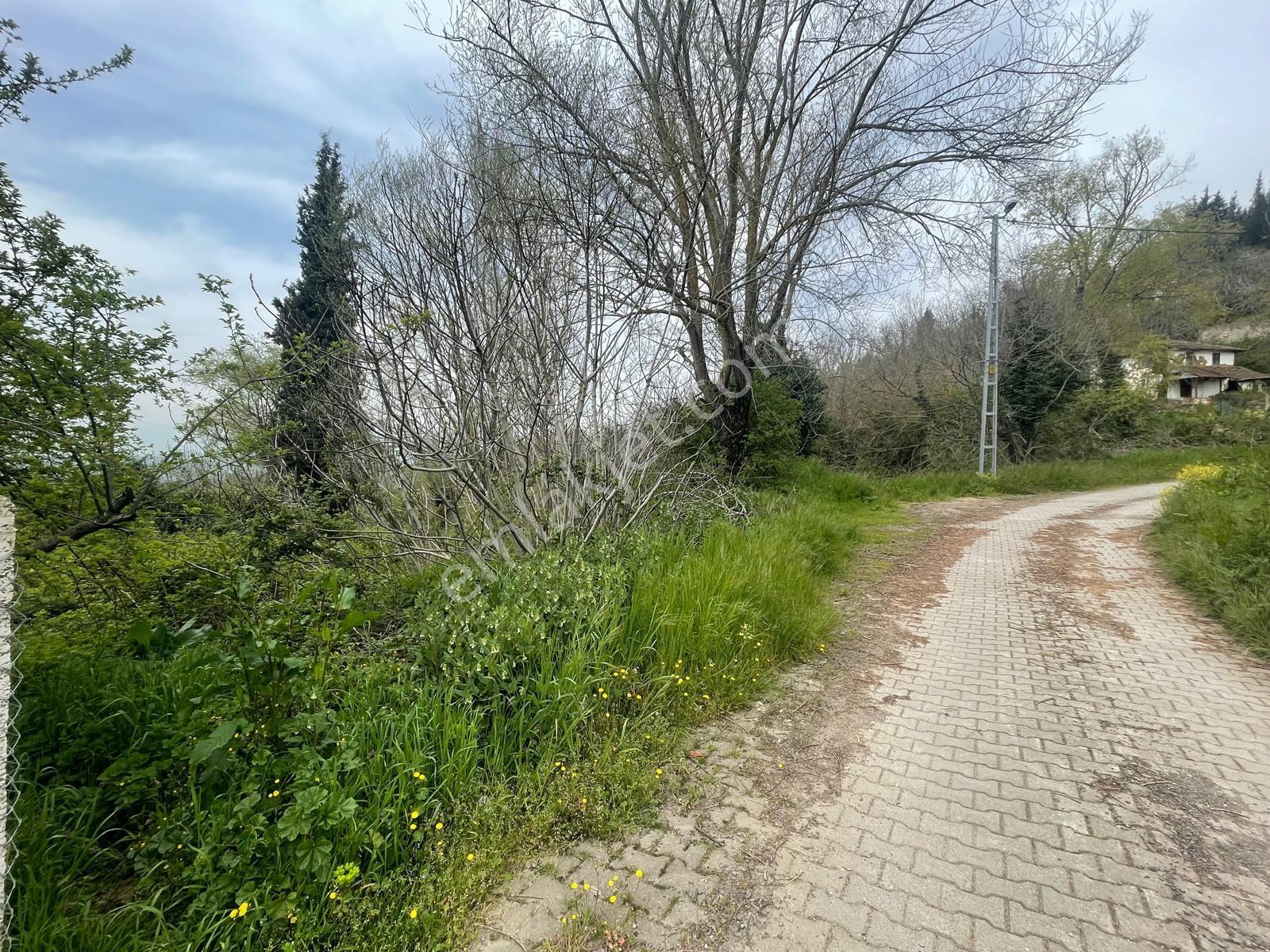Karaahmetl'de Köyiçi Yatırıma Uygun 448m2 İmarlı Arsa! - Görsel 2