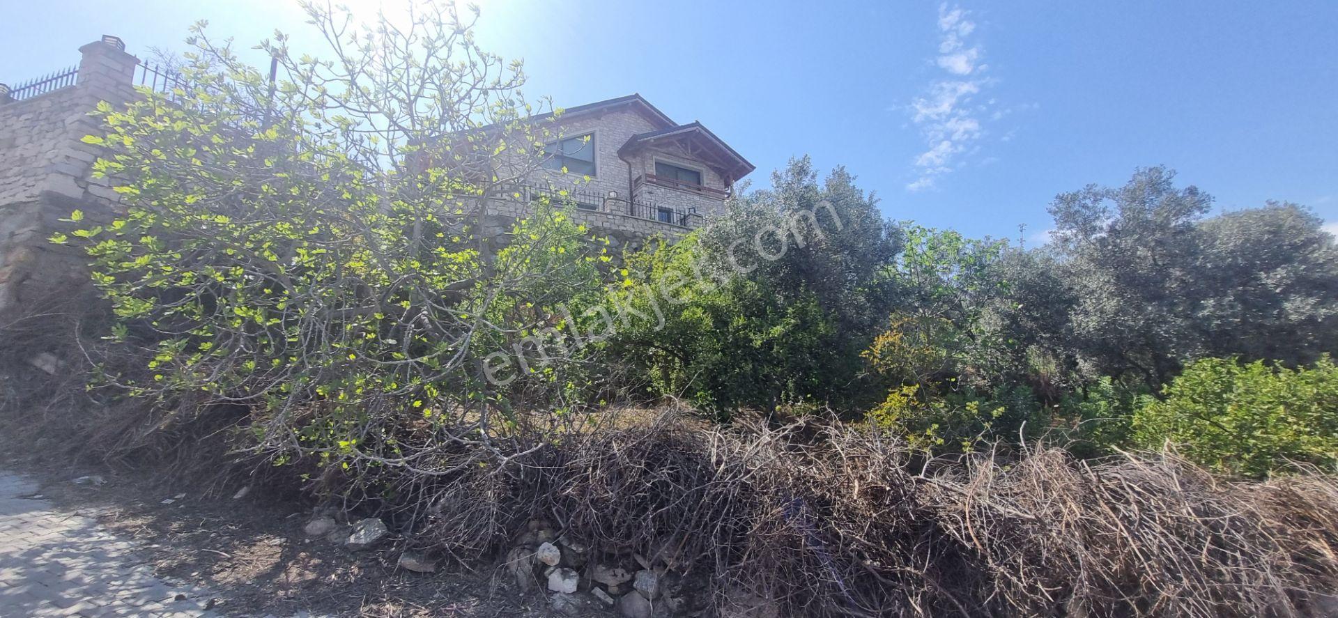 Aydın Nazilli Yöntem Emlaktan Yenipazar Direcik Mahallesinde Satılık Müstakil Ev - Görsel 30