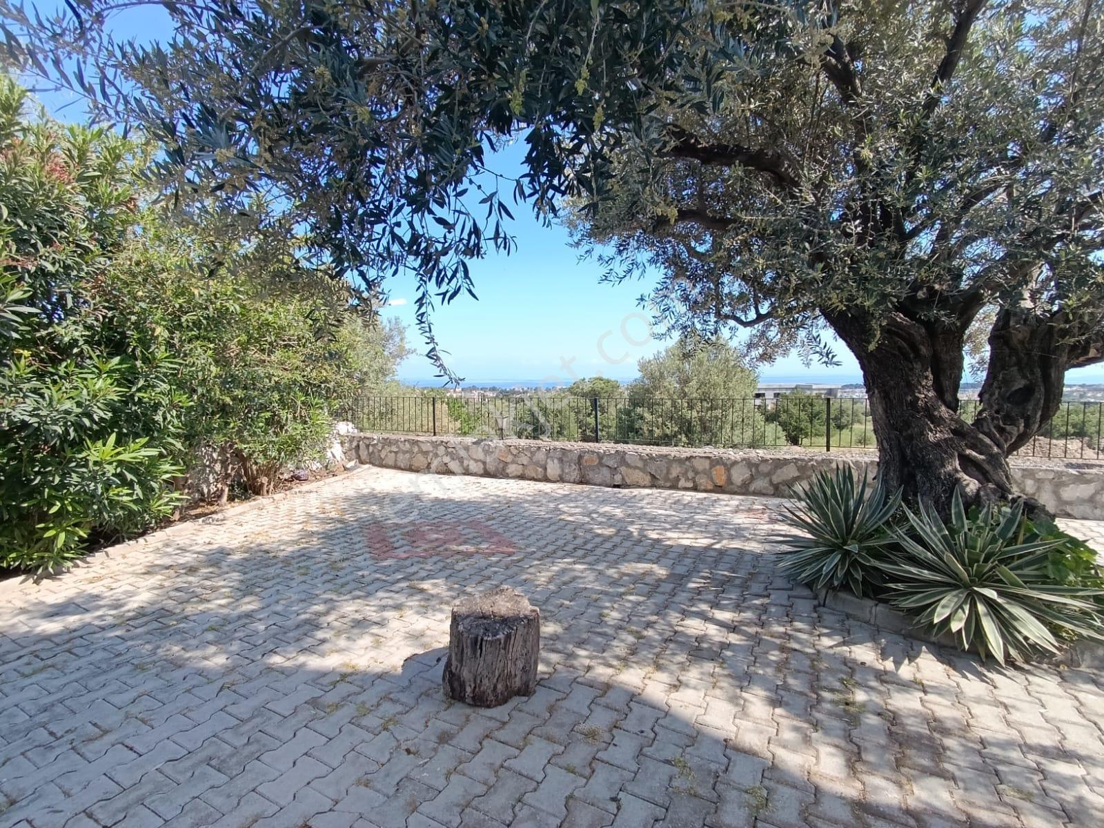 Satılık – Lüks Müstakil Villa | Karşıyaka, Girne, Kuzey Kıbrıs - Görsel 38