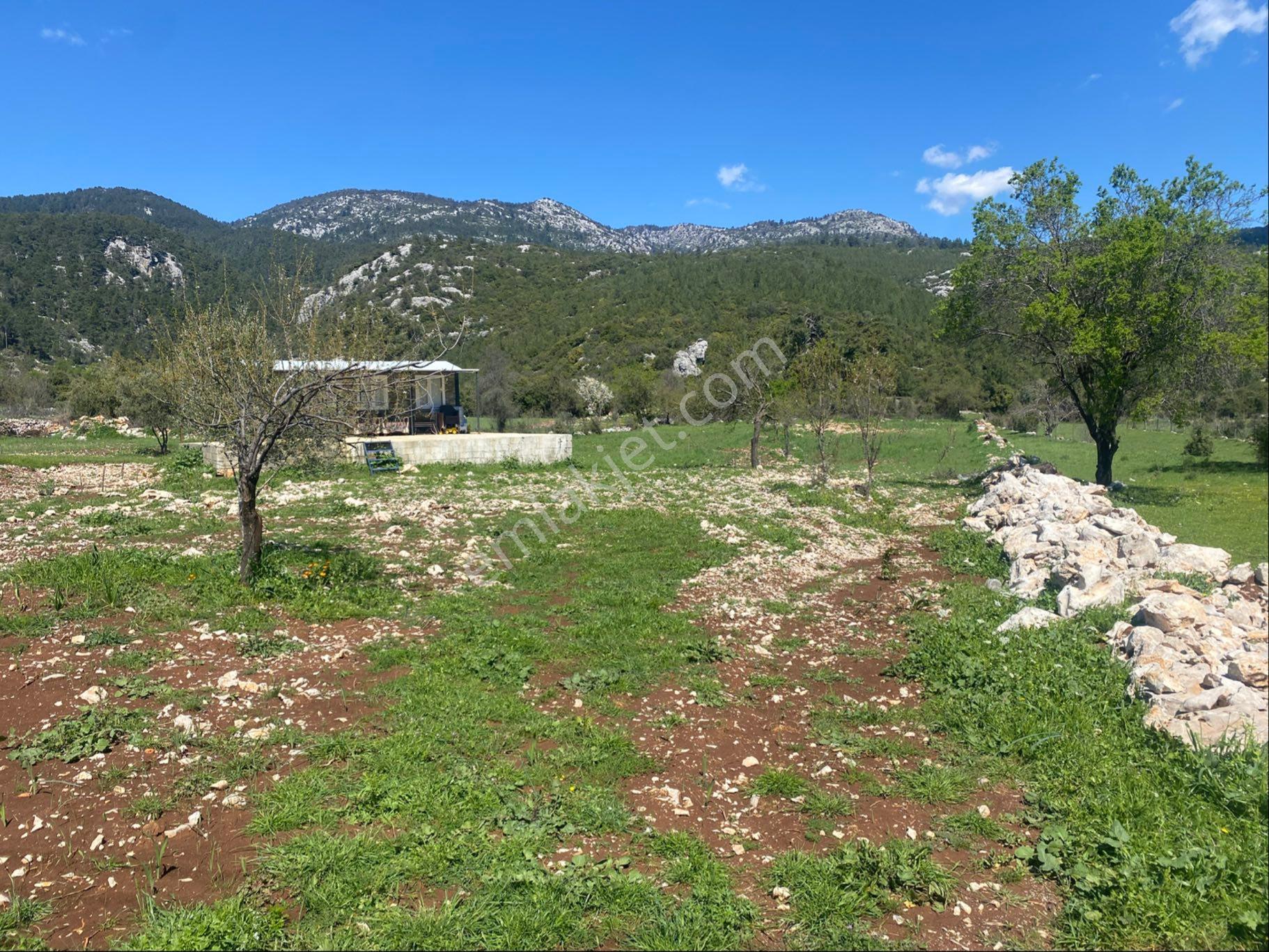 Hazır Kullanım! 3.325 M² Tek Tapu, Yazlık Bölgede Altyapılı - Görsel 6