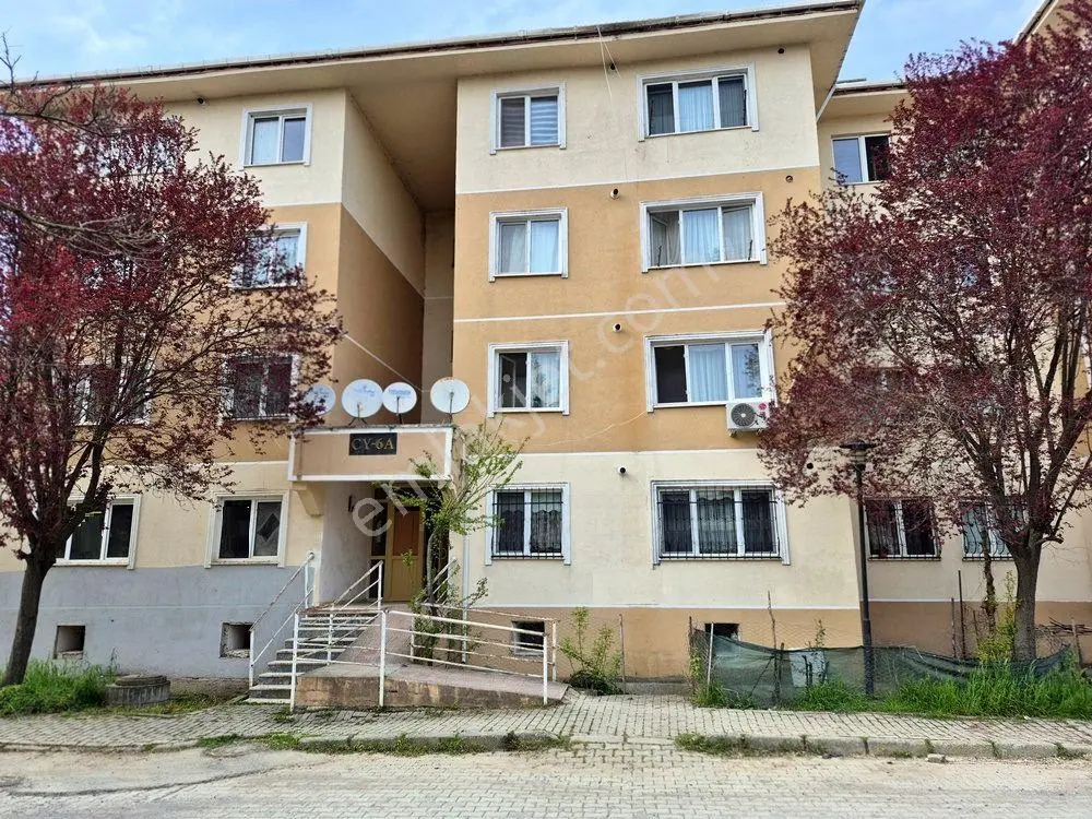 Sakarya Adapazarı Korucuk'ta Satılık Masrafsız 2+1 Daire