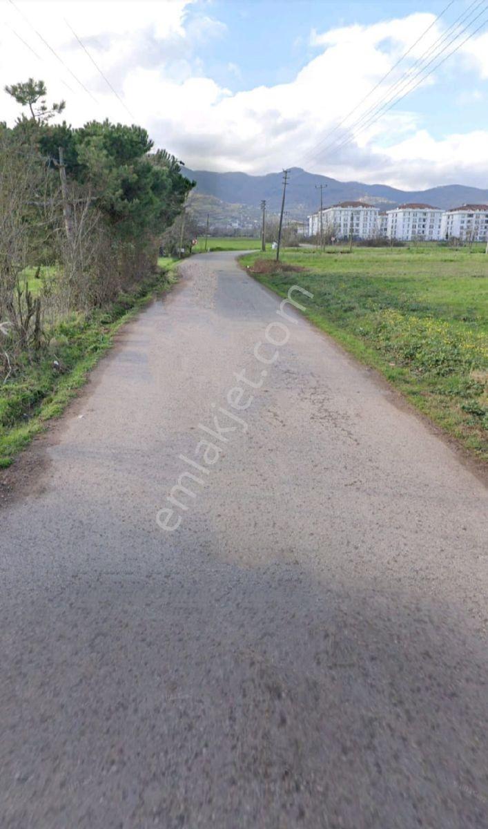 Tarcanlardan Arslanbey Osb'de Yatırımlık Satılık Tarla - Görsel 9