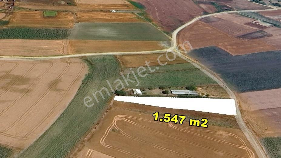 Silivri Sancaktepede 1.547 M² Tek Tapu | Eski Çantaköye 400m - Görsel 4