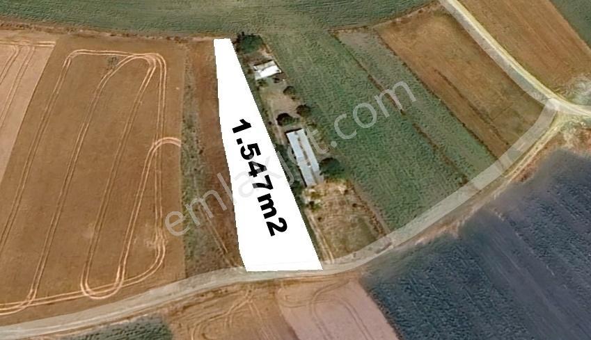 Silivri Sancaktepede 1.547 M² Tek Tapu | Eski Çantaköye 400m - Görsel 5