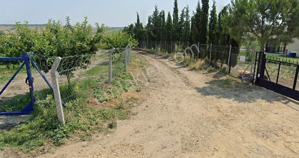 Silivri Sancaktepede 1.547 M² Tek Tapu | Eski Çantaköye 400m