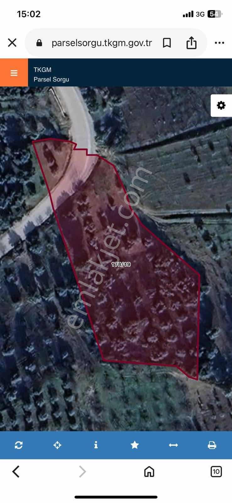 Tam Nokta Zenginlerden Kelepir! Çıkrıkçıda Zeytinlik 1090 M²