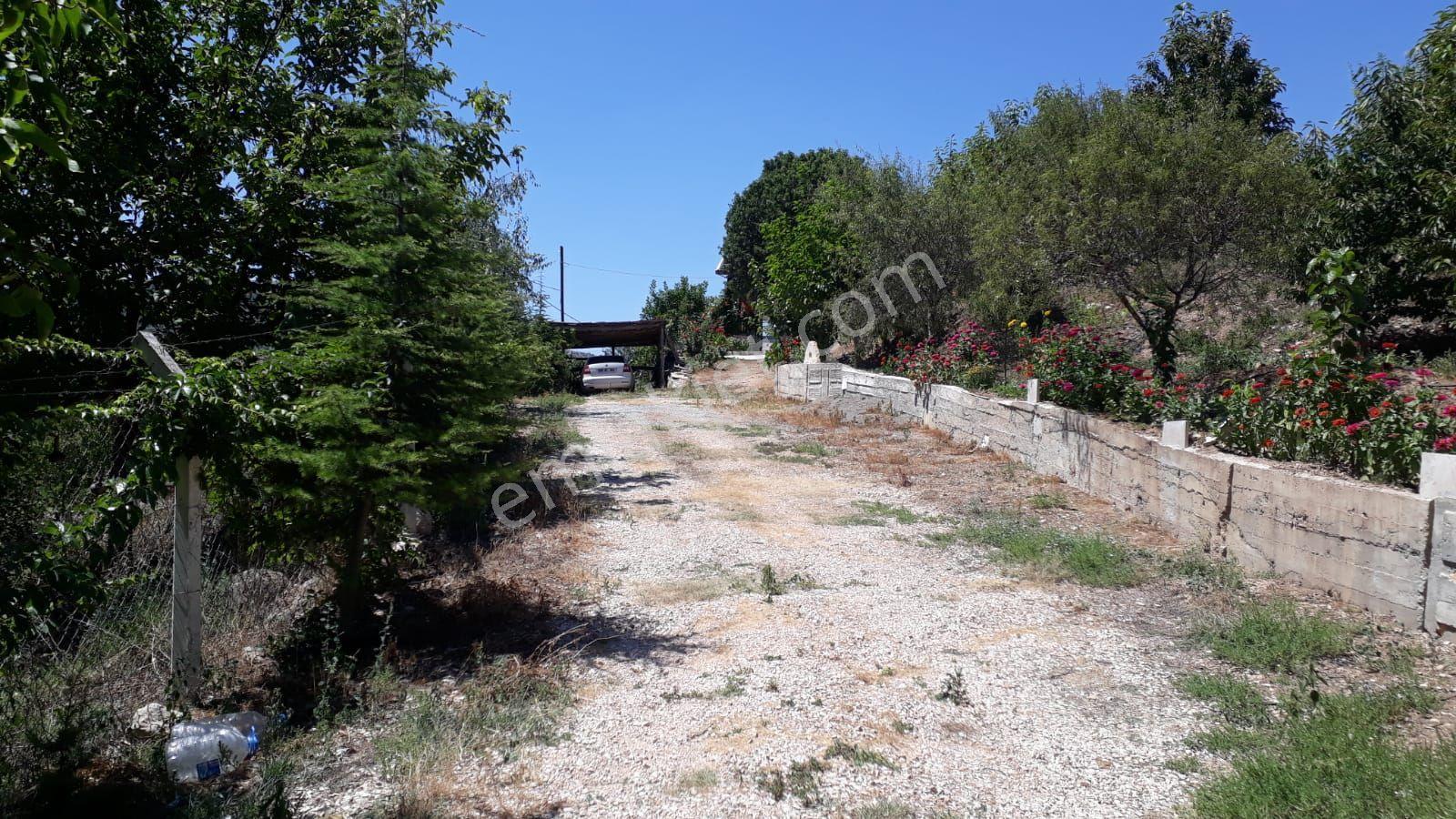 Asfalt Cepheli Meyve Bahçesi + Ev +(ek Arazi Fırsatıyla!) - Görsel 6