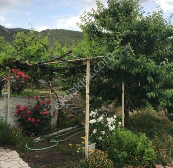 Asfalt Cepheli Meyve Bahçesi + Ev +(ek Arazi Fırsatıyla!) - Görsel 28