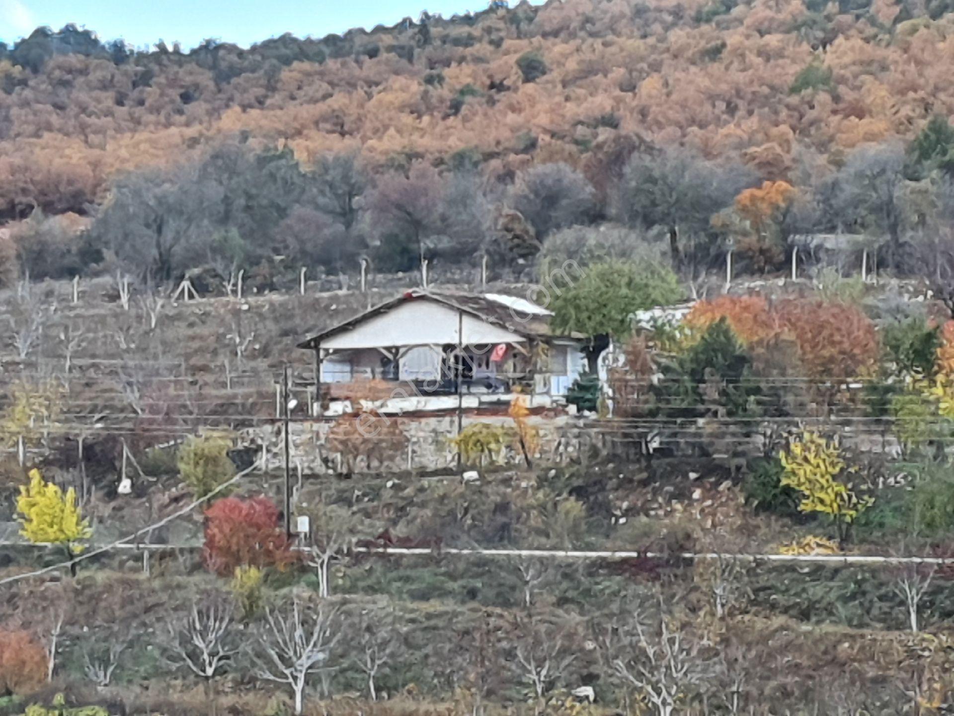 Asfalt Cepheli Meyve Bahçesi + Ev +(ek Arazi Fırsatıyla!) - Görsel 30