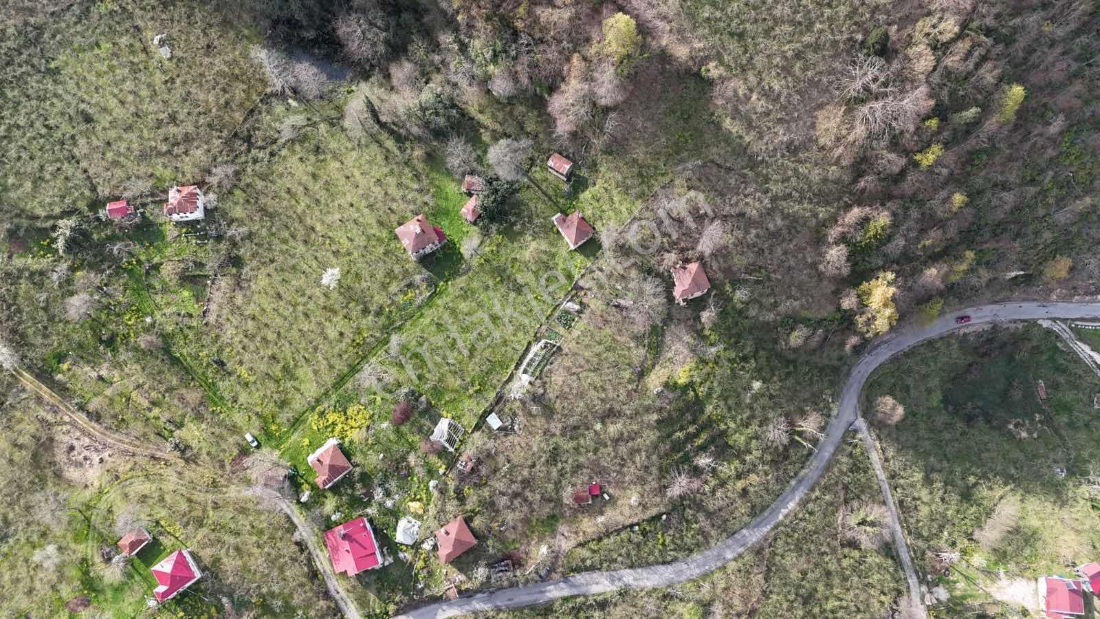 Mabel'den Eriklik Köyünde Fırsat Bahçe - Görsel 4