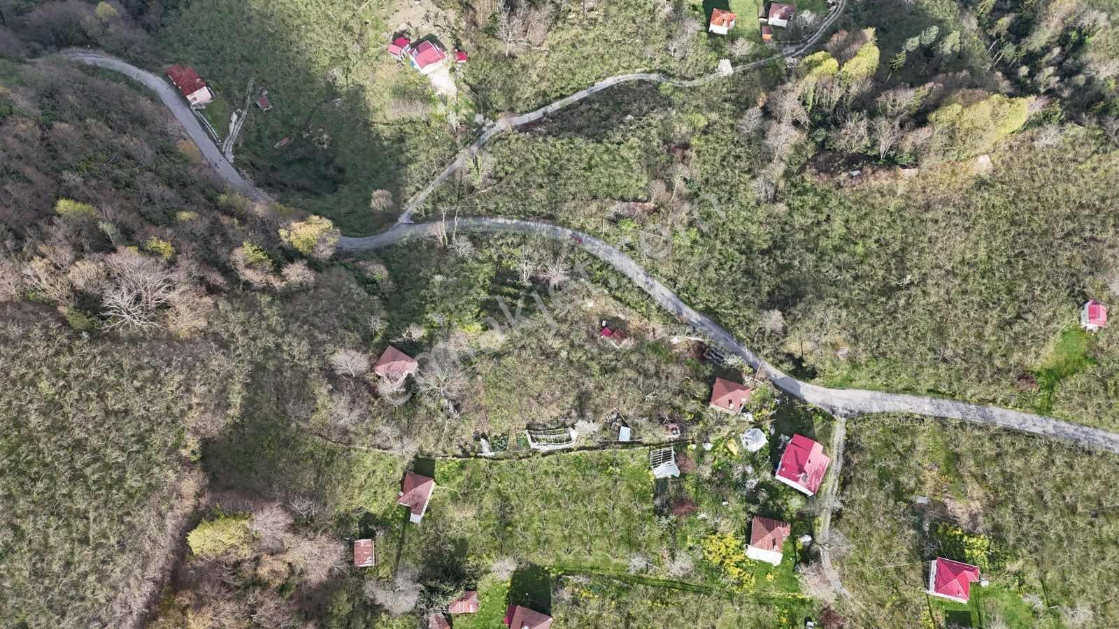 Mabel'den Eriklik Köyünde Fırsat Bahçe - Görsel 5