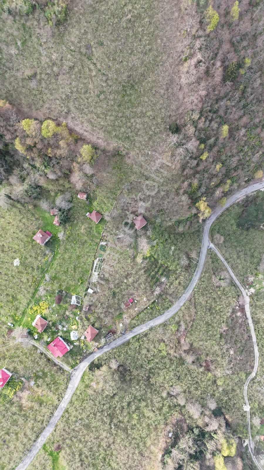 Mabel'den Eriklik Köyünde Fırsat Bahçe - Görsel 21