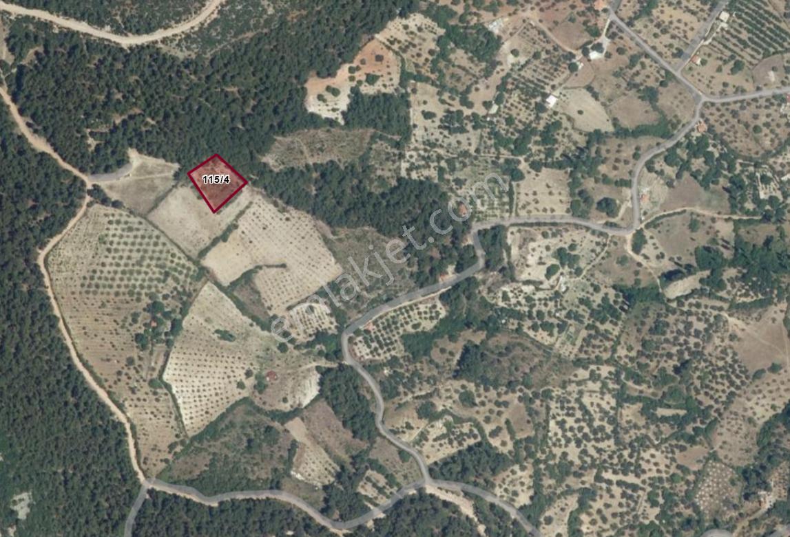 Darkale Ortabağlar’da 1.952 M² Telle Çevrili Satılık Tarla! - Görsel 3