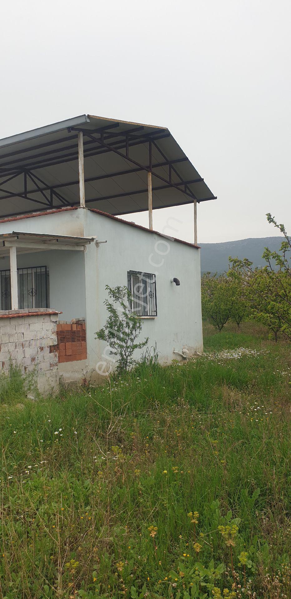 Manısa Şehzadeler Sancaklı Bozköy Mahallesinde Satılık Kırazlık Kayısılık Ve Müstakil Ev Satılık - Görsel 17
