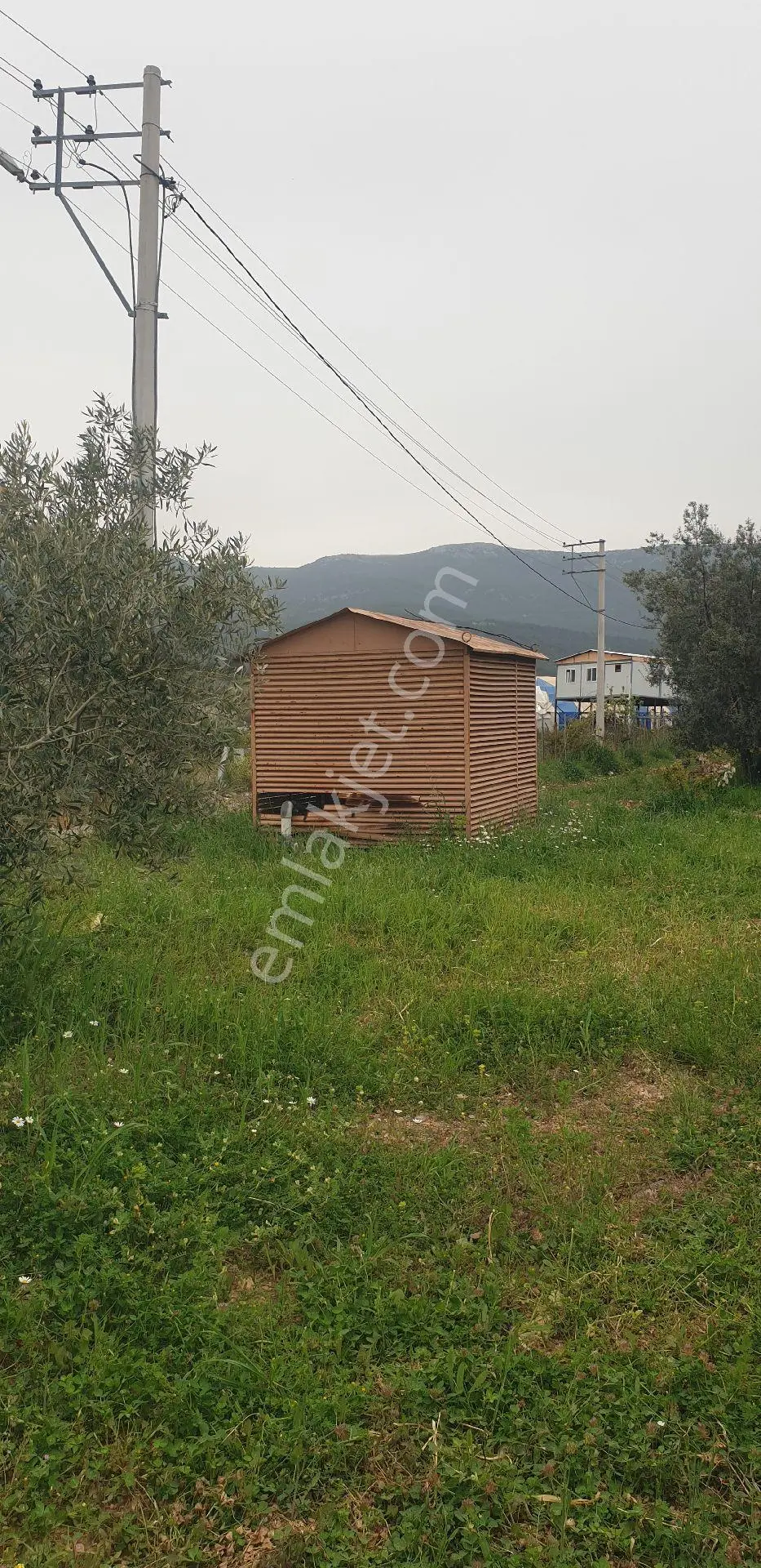 Manısa Şehzadeler Sancaklı Bozköy Mahallesinde Satılık Kırazlık Kayısılık Ve Müstakil Ev Satılık - Görsel 2