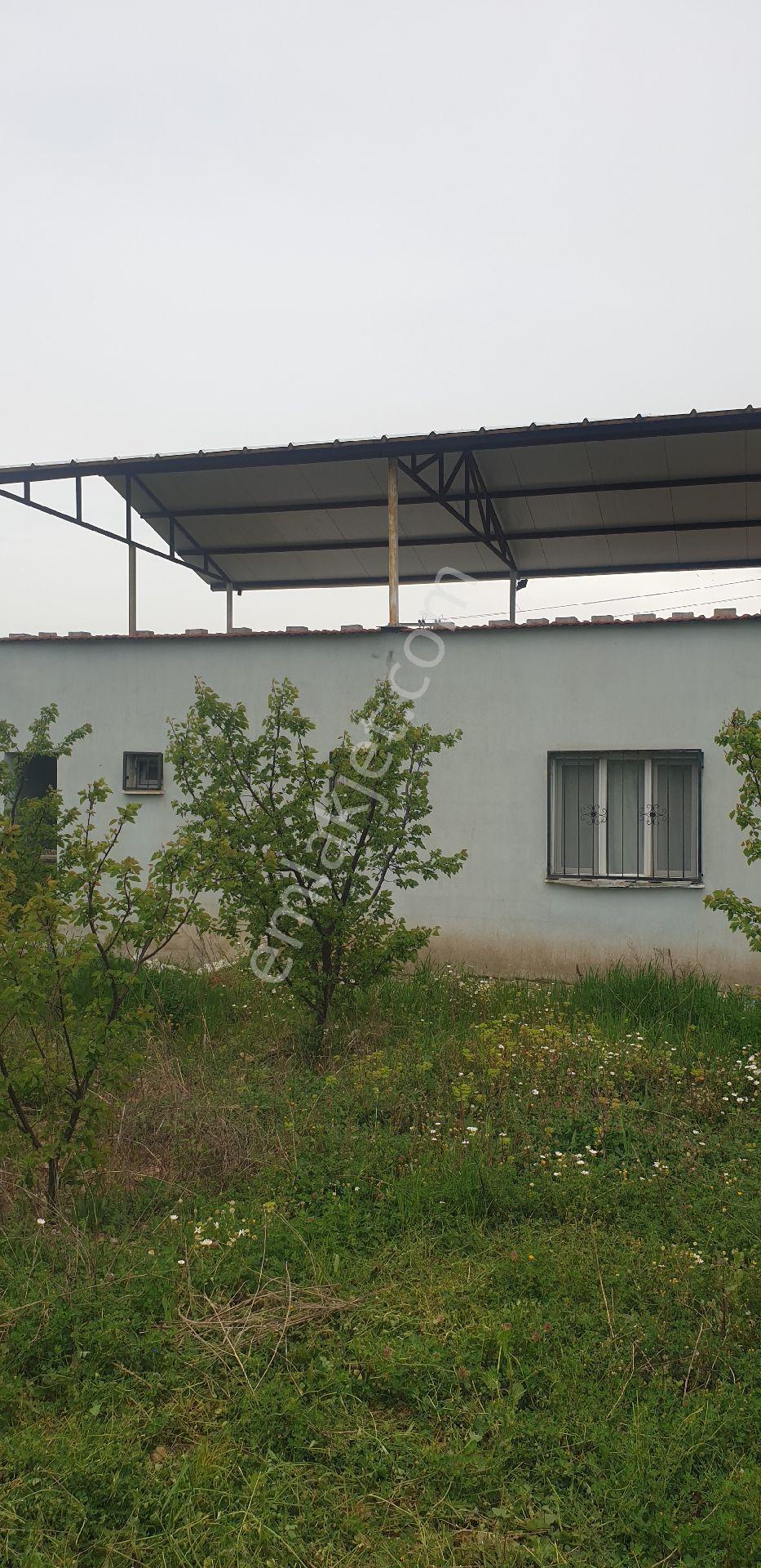 Manısa Şehzadeler Sancaklı Bozköy Mahallesinde Satılık Kırazlık Kayısılık Ve Müstakil Ev Satılık - Görsel 10