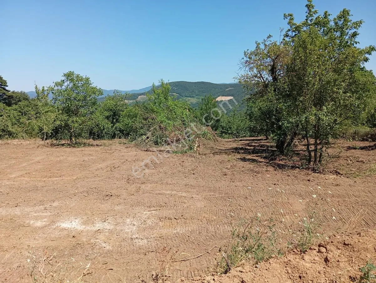 Sakarya Geyve Akıncı Mah.yola Cepheli Müstakil Parsel - Görsel 2