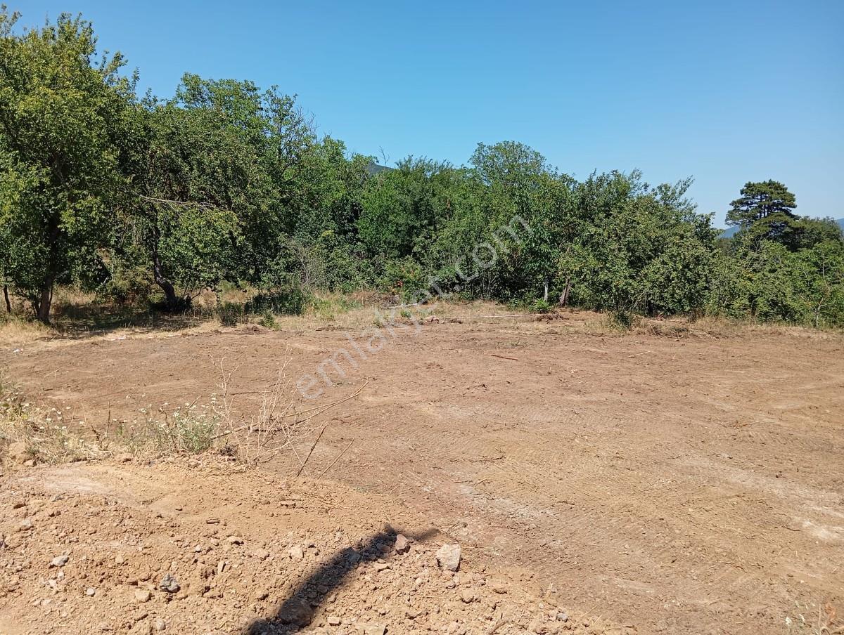 Sakarya Geyve Akıncı Mah.yola Cepheli Müstakil Parsel - Görsel 8